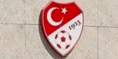 Kocaelispor Ulusal Lisans aldı 3 takımın puanı silindi